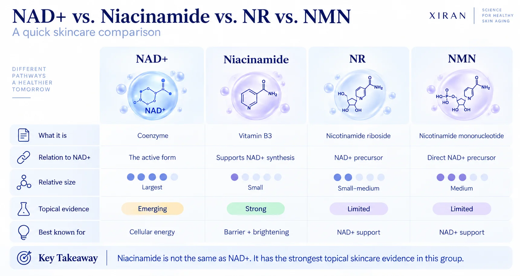 Infographic comparing NAD+, niacinamide, nicotinamide riboside (NR), and nicotinamide mononucleotide (NMN) for skincare with features like size, function, and evidence.
